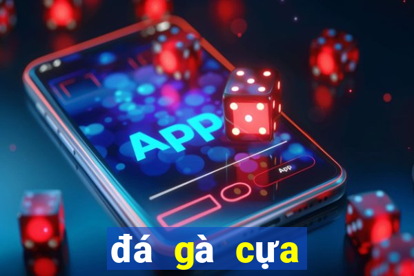 đá gà cựa sắt casino