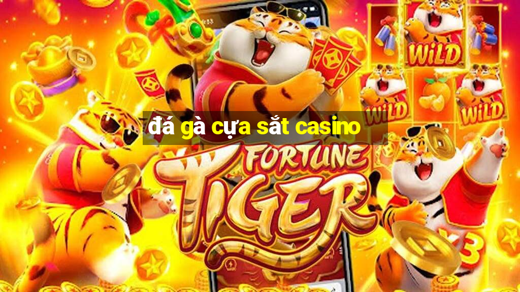 đá gà cựa sắt casino