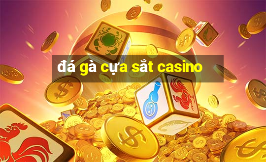 đá gà cựa sắt casino