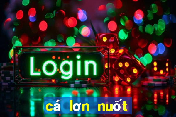 cá lơn nuốt cá bé game