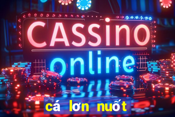 cá lơn nuốt cá bé game