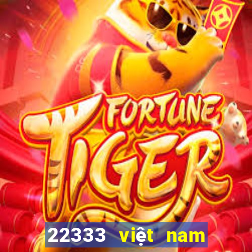 22333 việt nam màu sắc