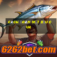 cách đoán mặt bầu cua