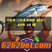 câm đầu 8 hôm sau đánh lô gì