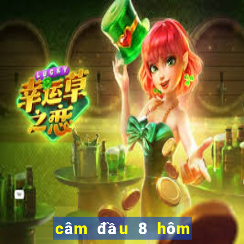 câm đầu 8 hôm sau đánh lô gì