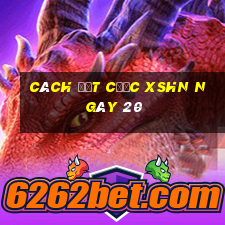 Cách đặt cược XSHN ngày 20