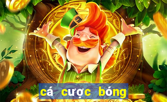 cá cược bóng đá club