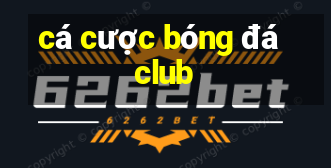 cá cược bóng đá club