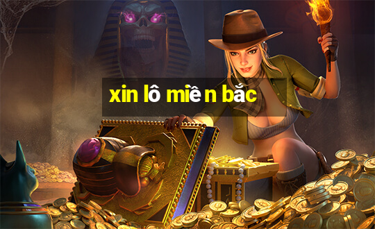 xin lô miền bắc