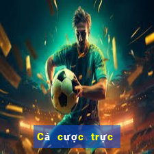 Cá cược trực tuyến 8xbet