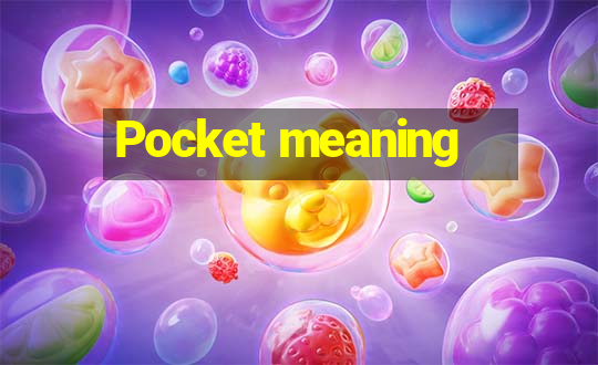 Pocket meaning