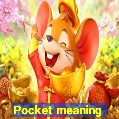 Pocket meaning