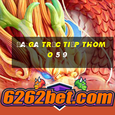 đá gà trực tiếp thomo 5 9