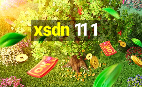 xsdn 11 1