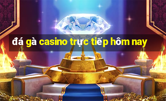 đá gà casino trực tiếp hôm nay