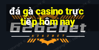 đá gà casino trực tiếp hôm nay