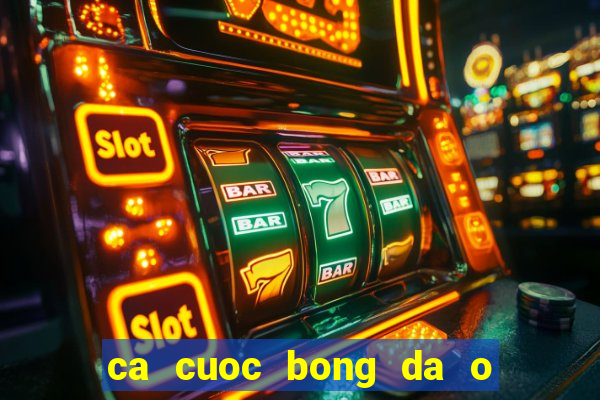 ca cuoc bong da o viet nam