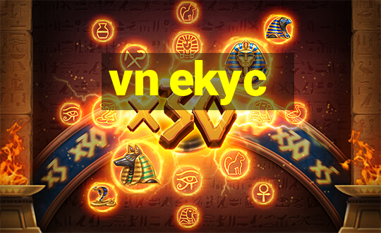 vn ekyc