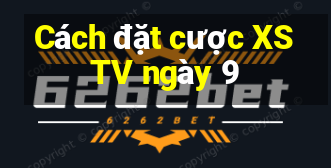 Cách đặt cược XSTV ngày 9