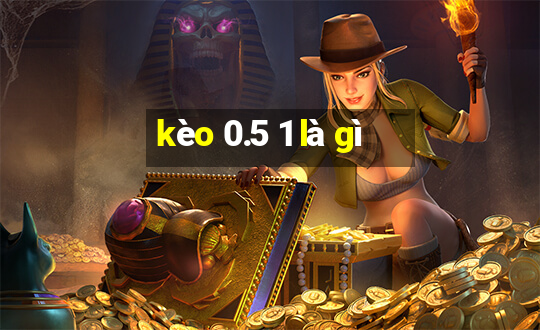 kèo 0.5 1 là gì