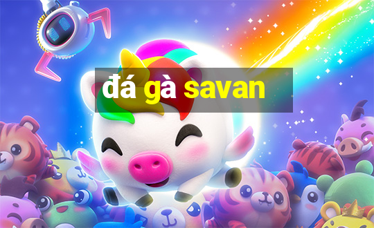 đá gà savan