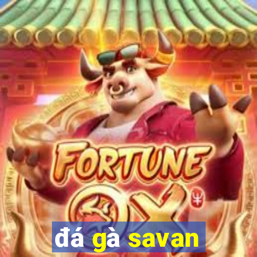 đá gà savan