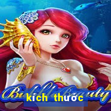 kích thước avatar youtube