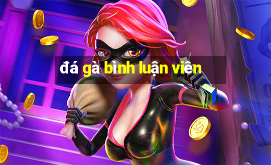 đá gà bình luận viên