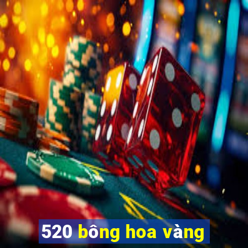 520 bông hoa vàng