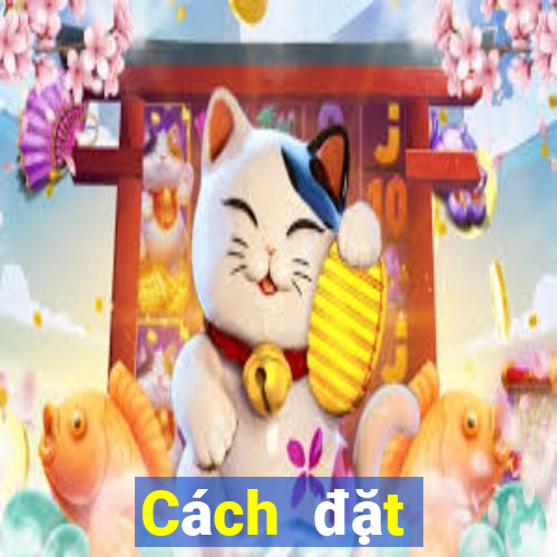 Cách đặt cược XSTN Thứ 2