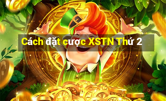 Cách đặt cược XSTN Thứ 2