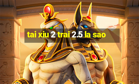 tai xiu 2 trai 2.5 la sao