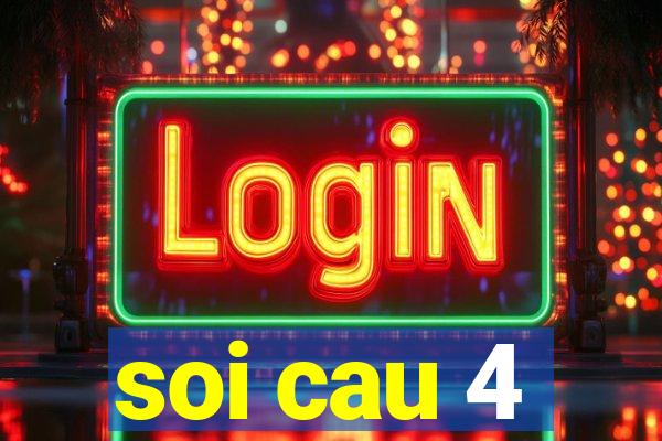 soi cau 4