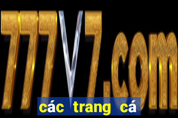 các trang cá độ uy tín