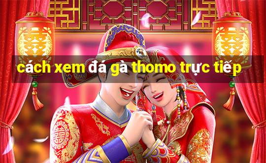 cách xem đá gà thomo trực tiếp