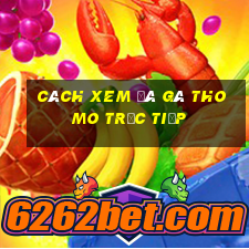 cách xem đá gà thomo trực tiếp