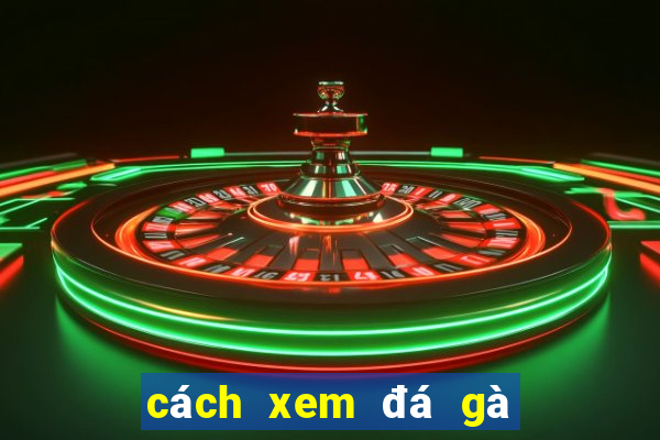 cách xem đá gà thomo trực tiếp