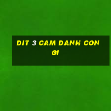 dit 3 cam danh con gi