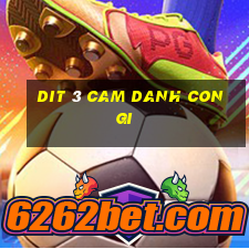 dit 3 cam danh con gi