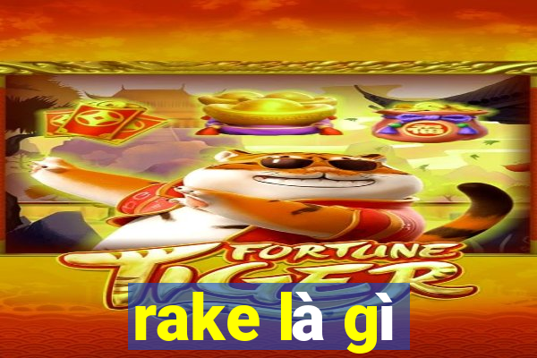 rake là gì