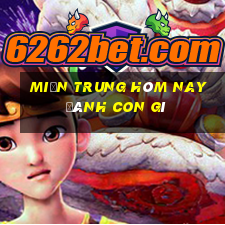 miền trung hôm nay đánh con gì