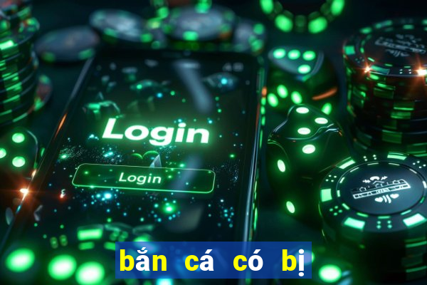 bắn cá có bị cấm không