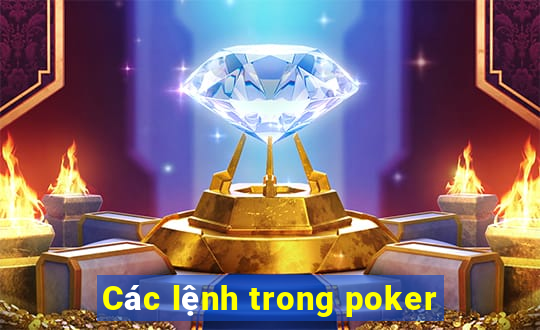 Các lệnh trong poker