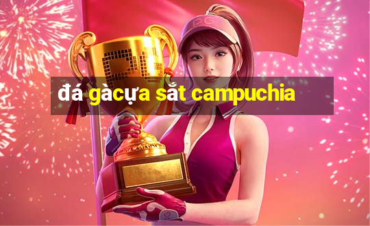 đá gà cựa sắt campuchia