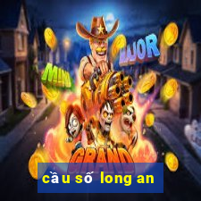 cầu số long an