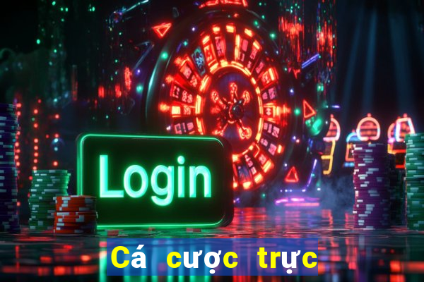 Cá cược trực tuyến tgcasino