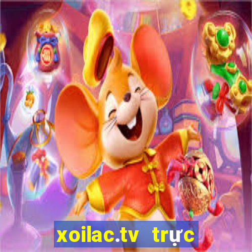 xoilac.tv trực tiếp bóng đá