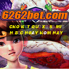 cho kết quả xổ số miền bắc ngày hôm nay