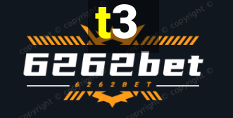 t3