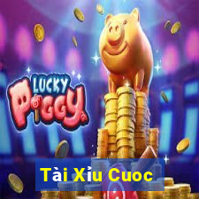 Tài Xỉu Cuoc